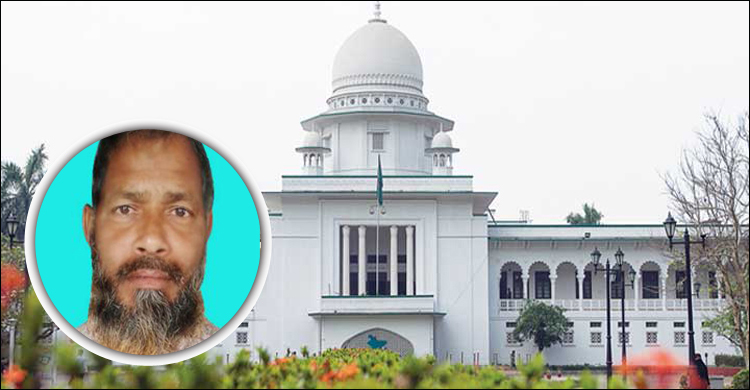 গৃহবধূর চুল কাটা আ.লীগ নেতার বিরুদ্ধে অ্যাকশন জানতে চান হাইকোর্ট