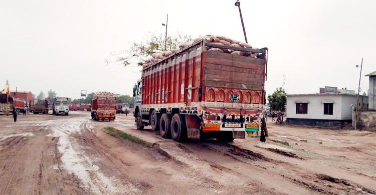 ১২ দিন পর হিলি দিয়ে পেঁয়াজ আমদানি