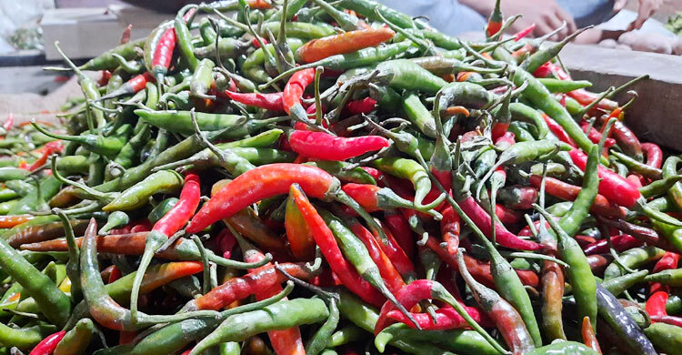 আমদানি বন্ধ, হিলিতে বাড়ছে কাঁচামরিচের দাম
