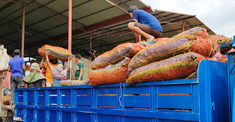 আমদানি কমায় হিলিতে বেড়েছে কাঁচামরিচের দাম