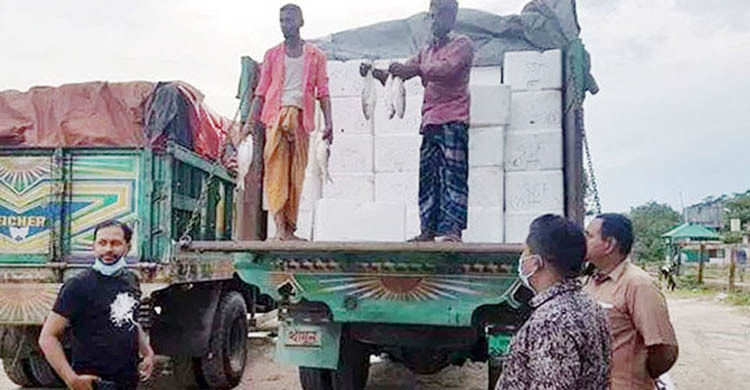 দুই দিনে ভারতে গেলো ২৮৭ টন ৮৪০ কেজি ইলিশ