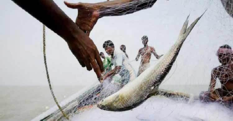 মধ্যরাতেই ইলিশ শিকারে নামছেন উপকূলের জেলেরা