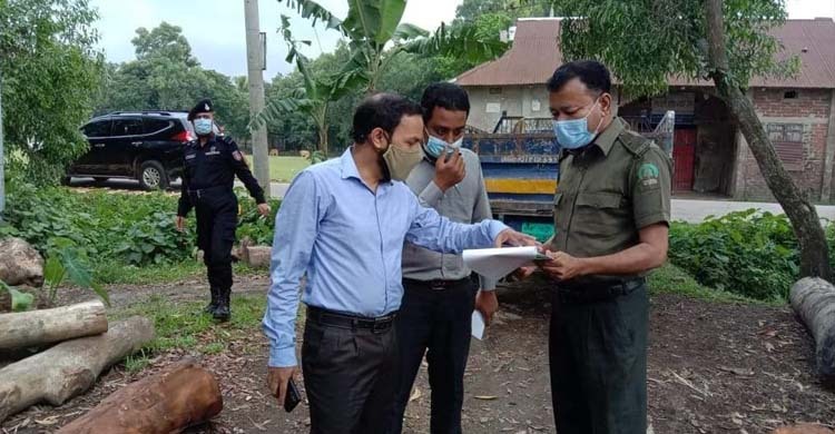 শায়েস্তাগঞ্জে ৪ অবৈধ করাত কল উচ্ছেদ