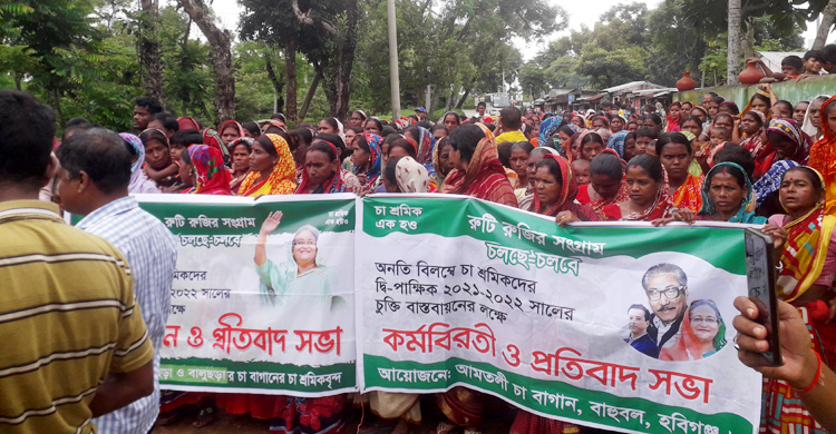 হবিগঞ্জে মহাসড়ক অবরোধ করে বিক্ষোভে চা শ্রমিকরা