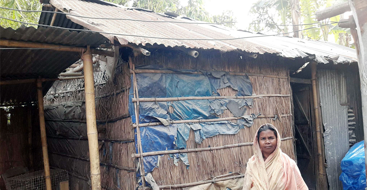 ‘কত মানুষ ঘর পায়, মুই না পাং’