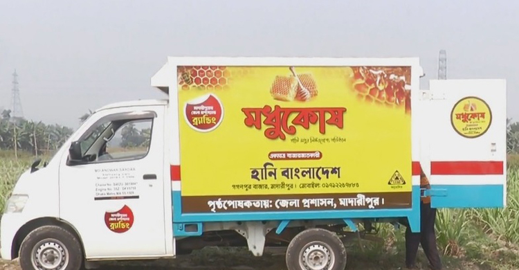 মাদারীপুরে জনপ্রিয় হচ্ছে ভ্রাম্যমাণ মধুচাষ