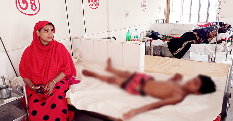 পাতা কুড়াতে গিয়ে ককটেল বিস্ফোরণ, দুই ভাই আহত