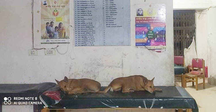 স্বাস্থ্য কমপ্লেক্সে কুকুর, দুই চিকিৎসককে তলব