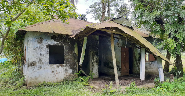 এই ভবনেই চলে বন বিভাগের কার্যক্রম