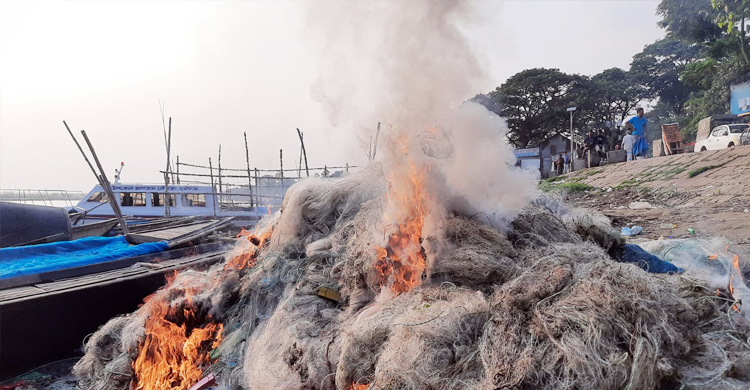 নিষেধাজ্ঞা অমান্য করে ইলিশ শিকার, ১৯ জনের কারাদণ্ড