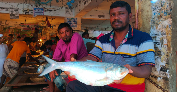বিষখালী নদীতে ধরা পড়লো ২ কেজির ইলিশ