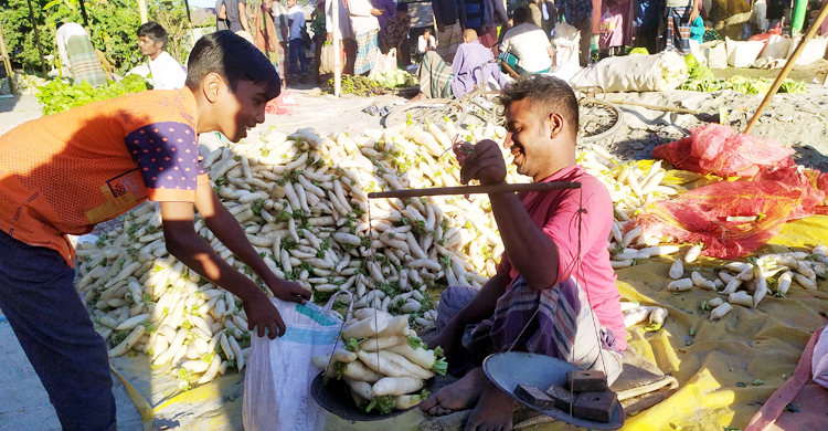 মুলার কেজি ২ টাকা