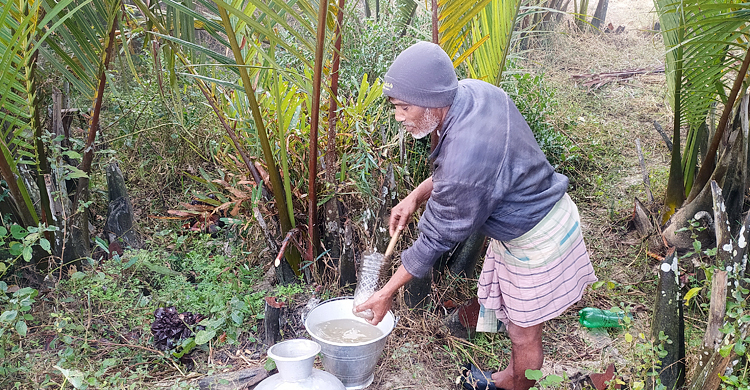বরগুনার সম্ভাবনাময় গোলের রস ও গুড়