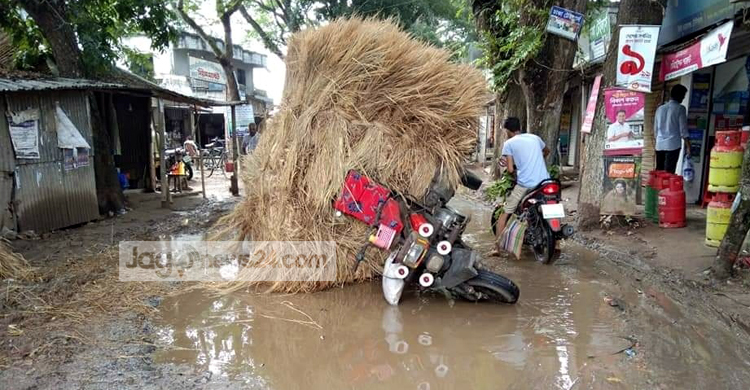 খানাখন্দে ভরা আলফাডাঙ্গা-গোপালপুর সড়ক, যান চলাচলে দুর্ভোগ