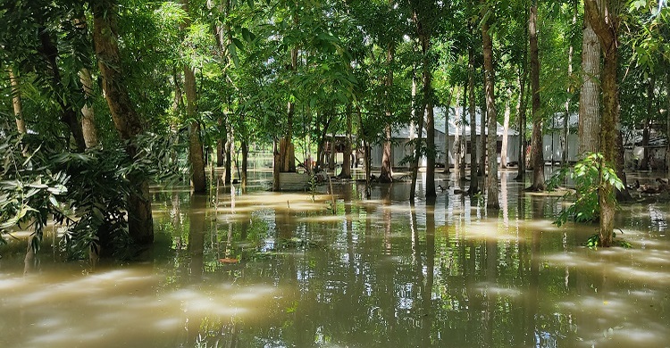 শরীয়তপুরের দুই উপজেলায় অন্তত ২০ গ্রাম প্লাবিত