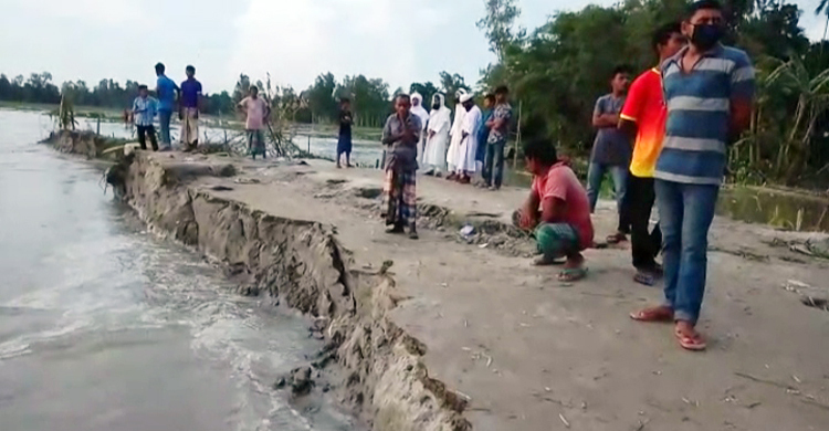 তিস্তায় বিলীন শত শত বসতভিটা-স্থাপনা, দুর্ভোগে ভাঙনকবলিতরা
