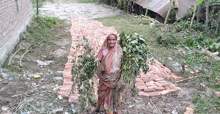 ছাত্রদের দিয়ে অন্যের জমিতে রাস্তা তৈরির চেষ্টায় প্রধান শিক্ষক