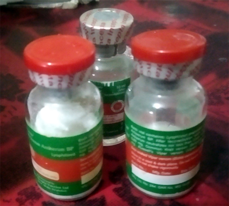 হাসপাতালে নেই অ্যান্টিভেনম, ঝাড়ফুঁকে ঝুঁকছেন সাপে কাটা রোগীরা