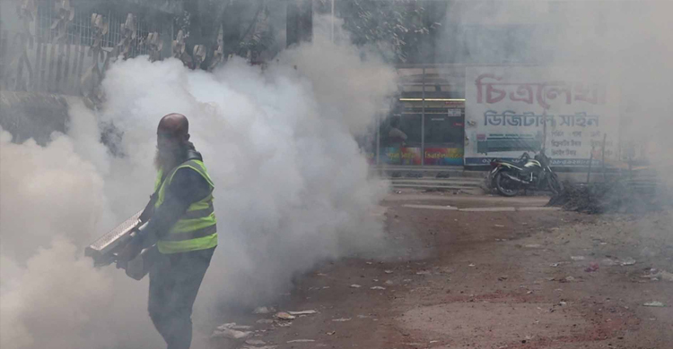 মশার উপদ্রবে অতিষ্ঠ নওগাঁ পৌরবাসী