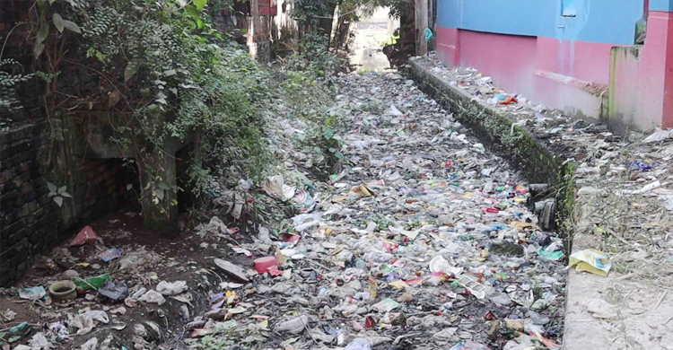 মশার উপদ্রবে অতিষ্ঠ নওগাঁ পৌরবাসী