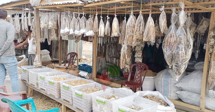 নির্দিষ্ট স্থানের অভাবে বিলীনের পথে কুয়াকাটার শুটকি পল্লী