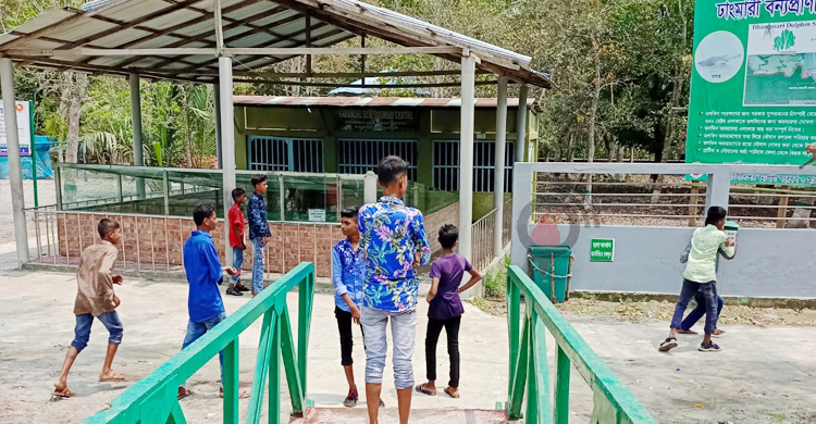 ঈদের দিনে পর্যটকশূন্য সুন্দরবন