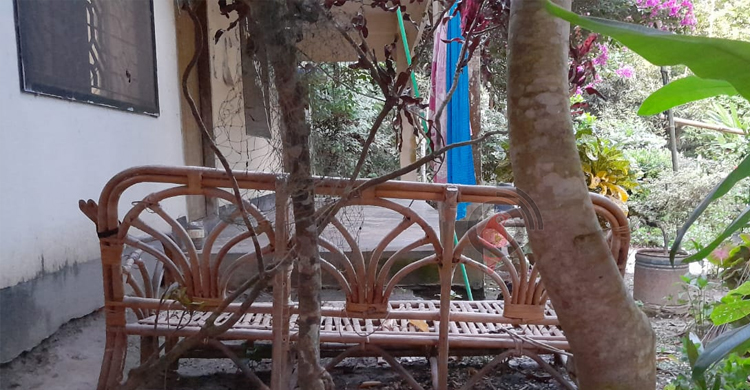 ফরিদপুরে অযত্নে-অবহেলায় তারেক মাসুদের বাড়ি