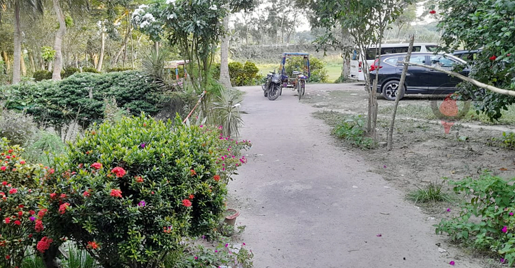 ফরিদপুরে অযত্নে-অবহেলায় তারেক মাসুদের বাড়ি