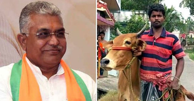 সোনা নিন ঋণ দিন, গরু নিয়ে ঋণ সংস্থায় হাজির কৃষকের দাবি