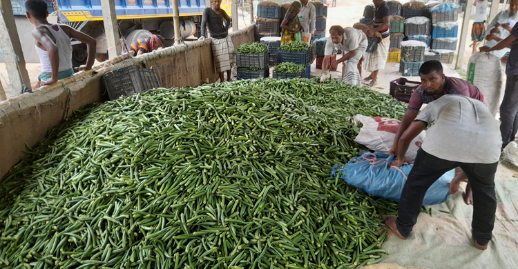 ১৫ দিনের ব্যবধানে তিন টাকার ঢ্যাঁড়শ ২২ টাকা