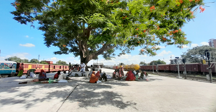 কোরবানির ঈদ এলেই ঈশ্বরদী আসেন তারা