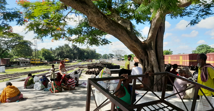 কোরবানির ঈদ এলেই ঈশ্বরদী আসেন তারা