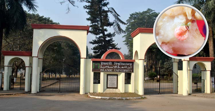 ইসলামী বিশ্ববিদ্যালয়ের হলের খাবারে পোকা, ক্ষুব্ধ শিক্ষার্থীরা