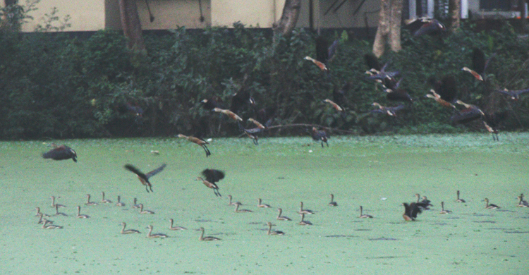 শিক্ষার্থী শূন্য ক্যাম্পাসে শীতের সকাল