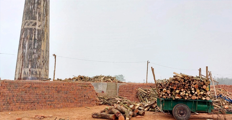 ১৬ অবৈধ ইটভাটাকে ৪১ লাখ টাকা জরিমানা