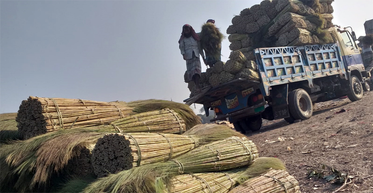 কদর বাড়ছে পাহাড়ি ফুল ঝাড়ুর