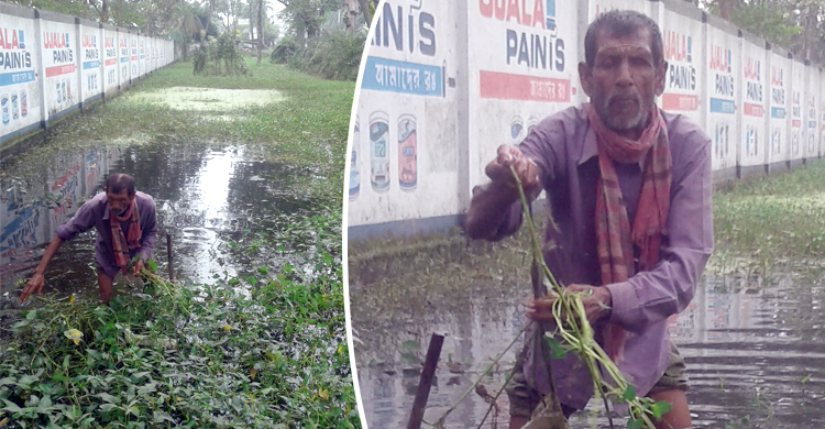 খাল থেকে শাক তুলে জীবন চলে অন্ধ সন্তোষের