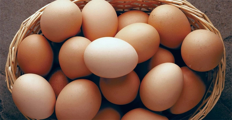 কলকাতায় এক মাসে তিনবার বাড়লো ডিমের দাম