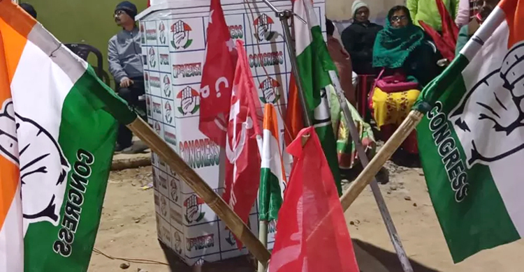 নির্বাচন পরবর্তী সন্ত্রাস মোকাবিলার উদ্যোগ, আসছেন গণনা পর্যবেক্ষক