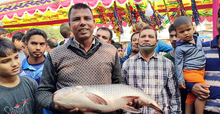 মেলা থেকে ২৫ কেজি ওজনের কাতলা নিয়ে শ্বশুরবাড়িতে জামাই