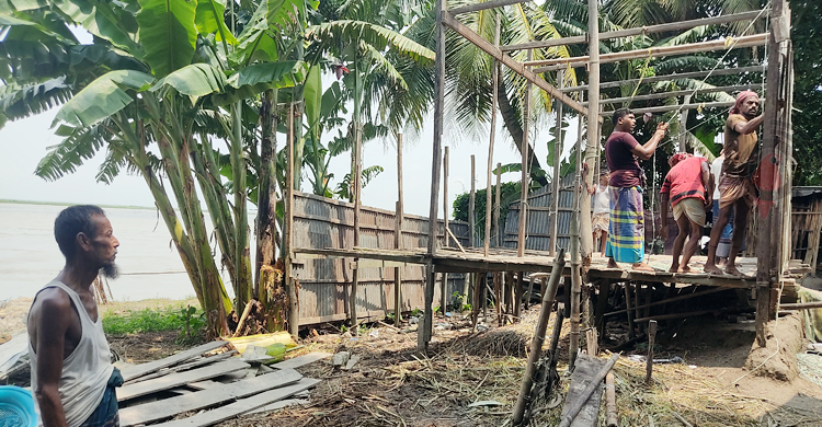 জাজিরায় আবারও পদ্মায় ভাঙন