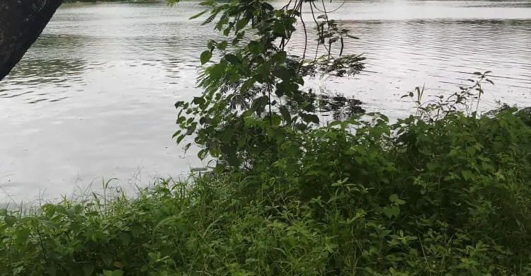 নবীনগরে জলাশয়ে ডুবে দুই শিশুর মৃত্যু
