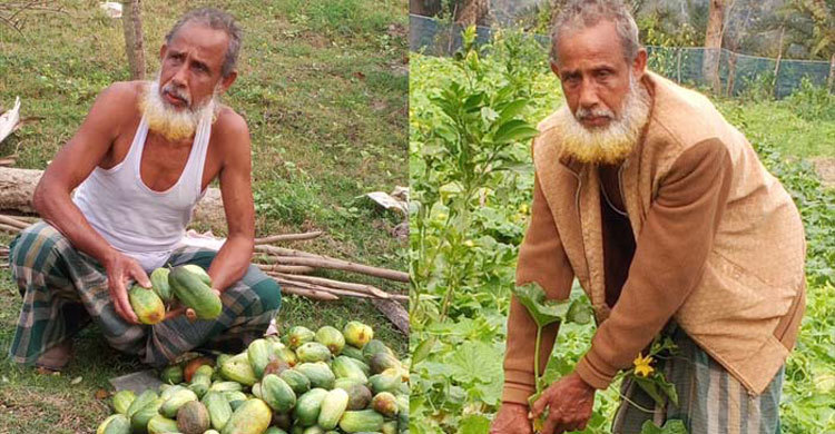 ২০ হাজারের শাকসবজি লাখ টাকায় বিক্রি