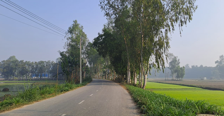 টানা দুই সপ্তাহ পর জামালপুরে ঝলমলে সূর্যের দেখা