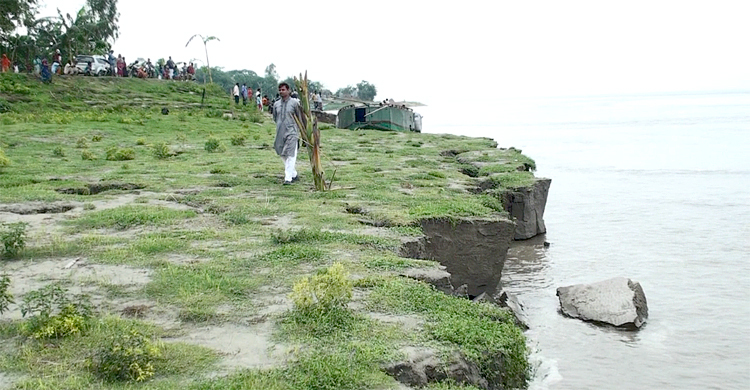 জামালপুরে উজানের ঢলে বাঁধের ৩০ মিটার অংশে ধস