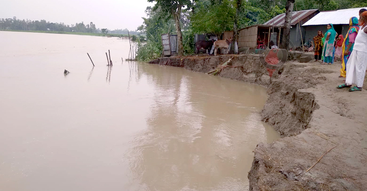 বকশিগঞ্জে রাক্ষুসী রূপ নিয়েছে দশানী নদী