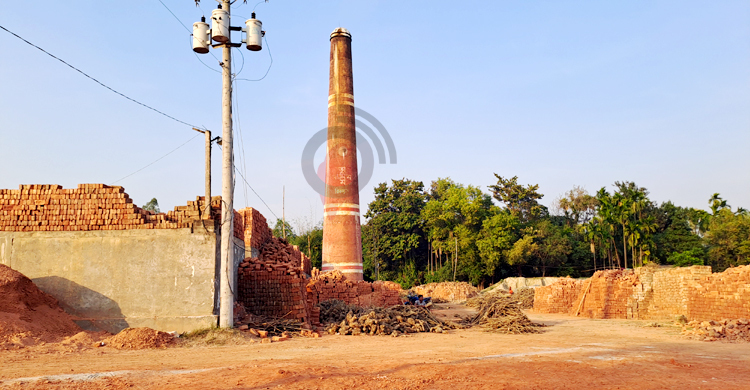 জামালপুরে ইটভাটায় পুড়ছে লাকড়ি-কাঠ
