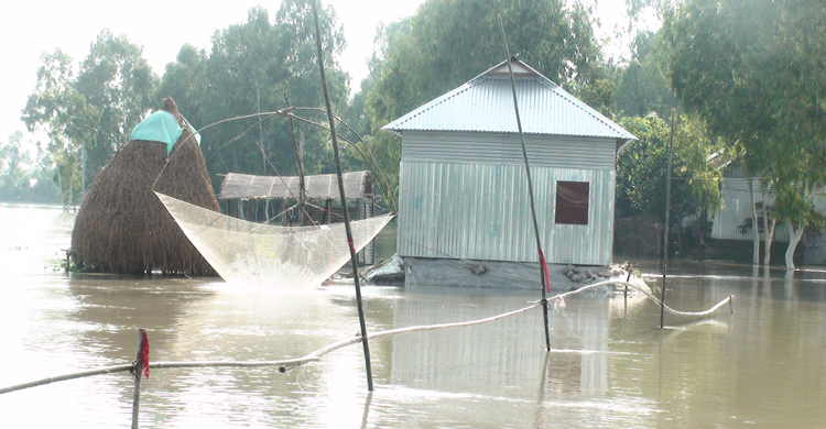 যমুনার পানি কমলেও এখনও প্লাবিত হচ্ছে জামালপুরের নিম্নাঞ্চল