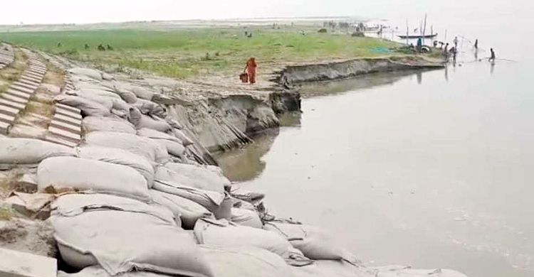 জামালপুরে যমুনার তীর সংরক্ষণ বাঁধে ধস