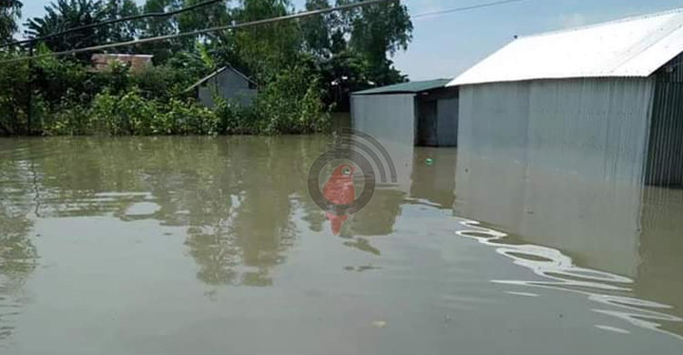 জামালপুরে বন্যার পানিতে ডুবে শিশুর মৃত্যু
